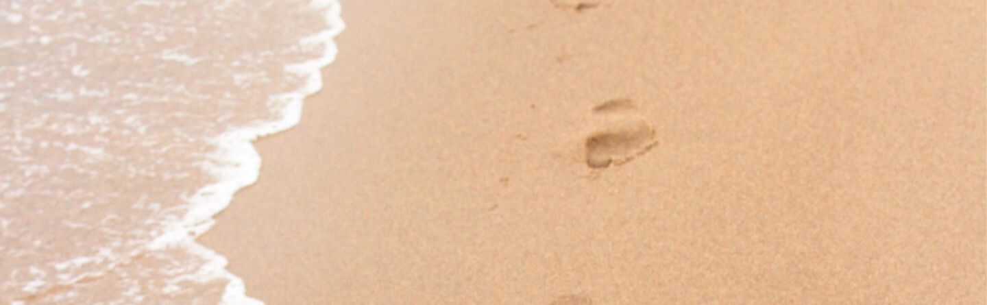 ส่วนบนสุดของเว็บไซต์